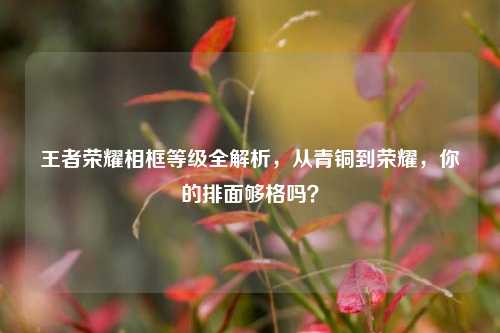 王者荣耀相框等级全解析,从青铜到荣耀,你的排面够格吗?