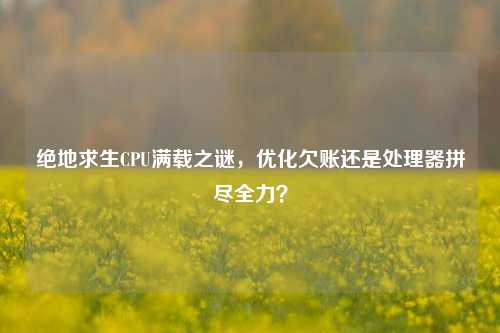 绝地求生CPU满载之谜,优化欠账还是处理器拼尽全力?