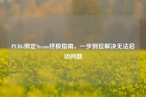 PUBG绑定Steam终极指南,一步到位解决无法启动问题