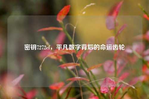 密钥7272cf,平凡数字背后的命运齿轮