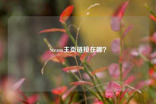 Steam主页链接在哪?