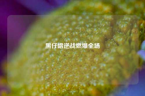 黑仔唱逆战燃爆全场