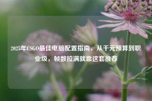 2025年CSGO最佳电脑配置指南，从千元预算到职业级，帧数拉满就靠这套推荐