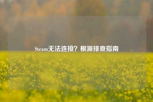 Steam无法连接?根源排查指南